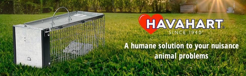 Havahart 0745 Small Cage Trap Chipmunks and Voles by Havahart - American Made