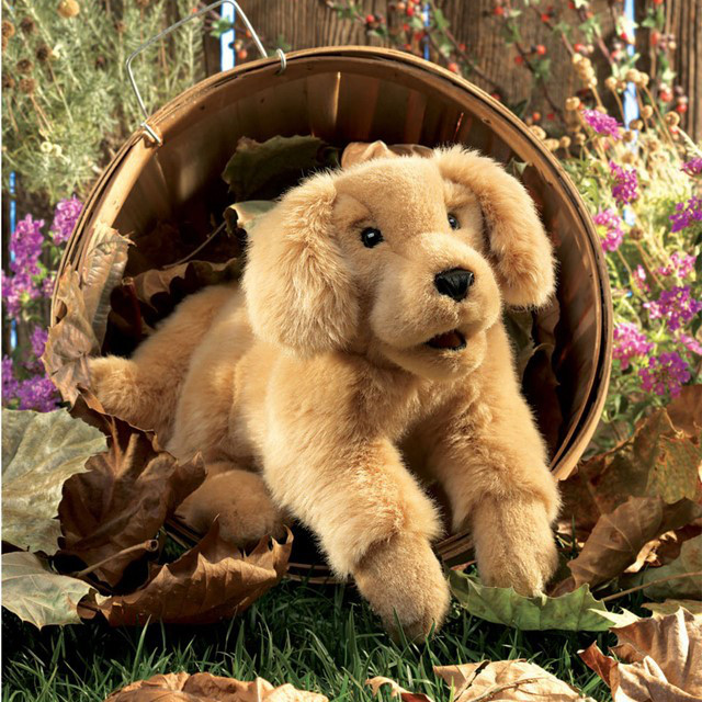 Folkmanis Golden Retriever Hand Puppet by Folkmanis Puppets - American Made