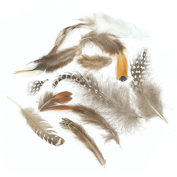 Creativity Street Feathers Assorted Natural Colors 150-Pack by Creativity Street - American Made