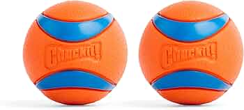Chuckit! Ultra Ball Medium 2-Pack
