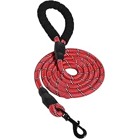 Earthdog 6-Foot Hemp Dog Leash Star Pattern Red by Earthdog - American Made