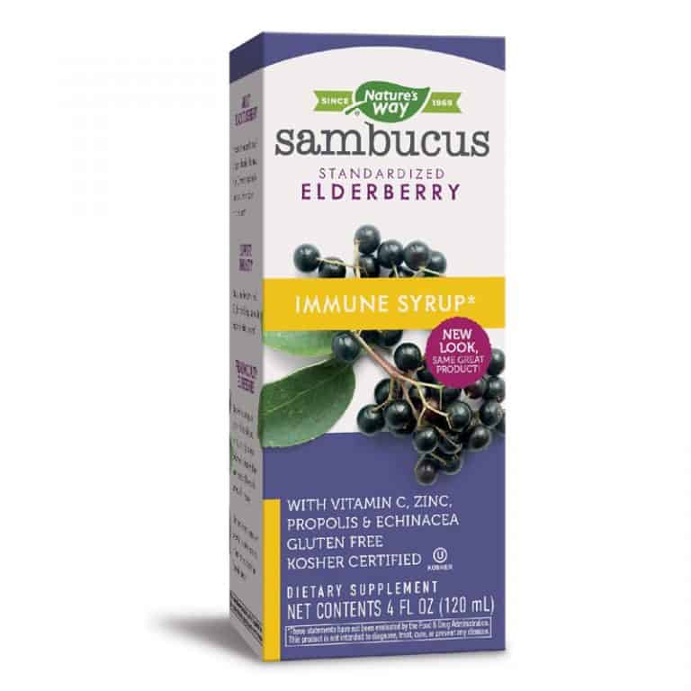 Nature's Way Elderberry Syrup Adult Liquid Supplement