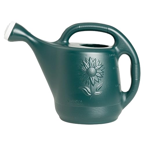 Root & Vessel Classic 2-Gallon Watering Can Outdoor, Hunter Green
