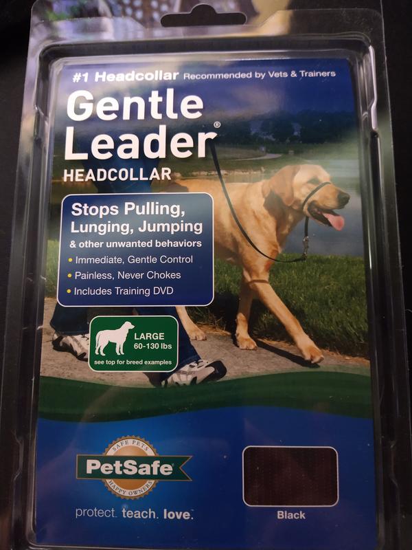 PetSafe Gentle Leader Head Collar Medium by PetSafe - American Made