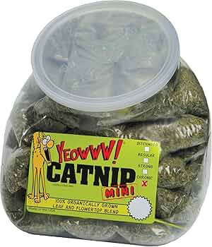 Yeowww Jug with 50 Mini Catnip Toys