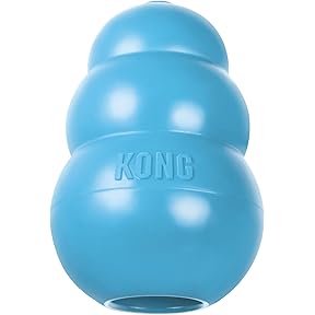 KONG Puppy Natural Teething Rubber Dog Toy Medium by KONG - American Made