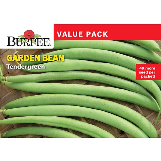Burpee Tendergreen Bush Bean Seeds 1 oz by Burpee - American Made