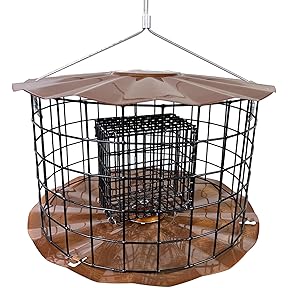 Erva Starling-Proof Double Suet Feeder Green Powdercoat