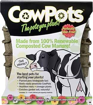 CowPots 4-Inch Square Biodegradable Planting Pots 12-Pack by CowPots - American Made
