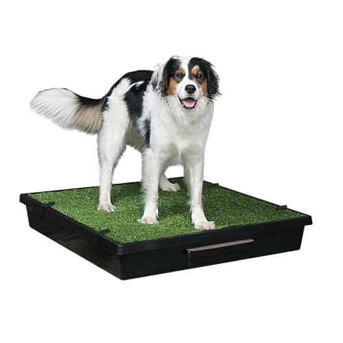 PetSafe Pet Loo Portable Indoor Outdoor Dog Potty by PetSafe - American Made