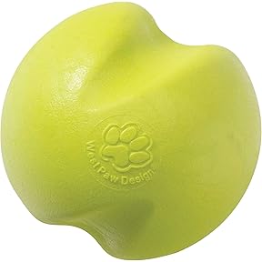Planet Dog Orbee-Tuff Recycle Ball