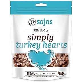 Stewart Pro-Treat Raw Naturals Turkey Dog Treats 4oz by Stewart - American Made