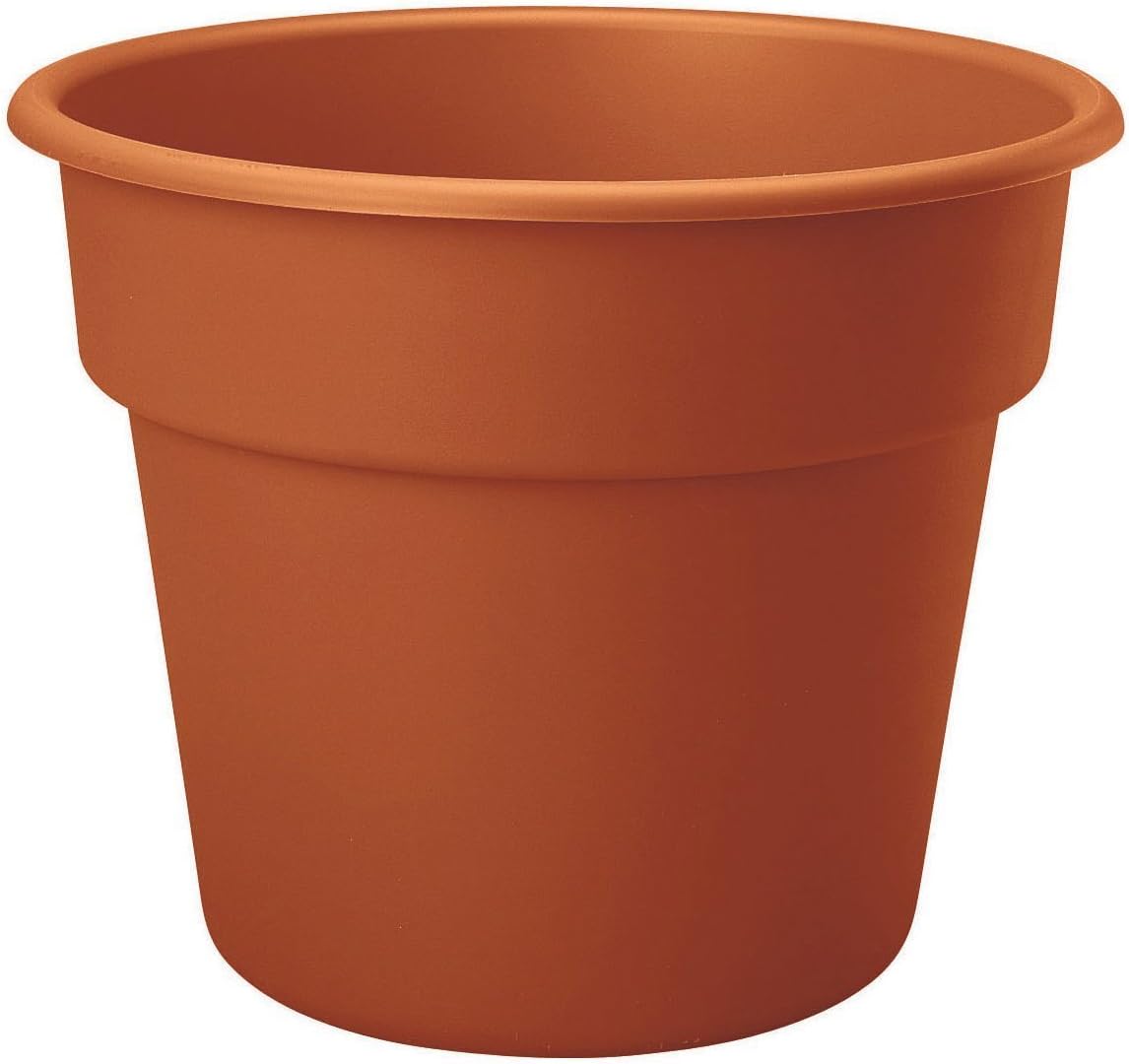 Bloem Dura Cotta Planter 8 Inch Terra Cotta