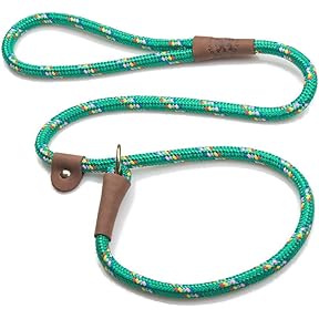 Mendota Pet Slip Leash Amber 1/2in x 6ft Large Breeds by Mendota Pet - American Made