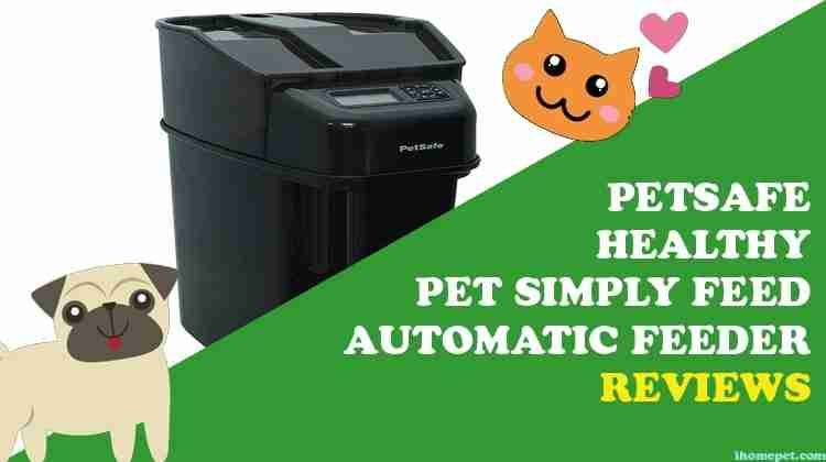 PetSafe Healthy Pet Simply Feed Automatic Feeder