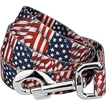 Country Brook Petz Patriotic Tribute Dog Leash 6 Foot by Country Brook Design - American Made