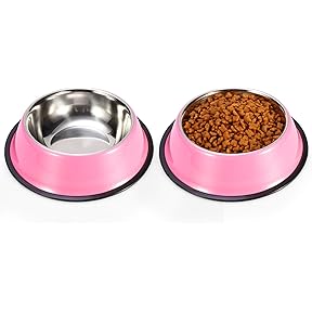 Basis Pet Stainless Steel Dog Bowl Medium 4.5 Cups 2-Pack