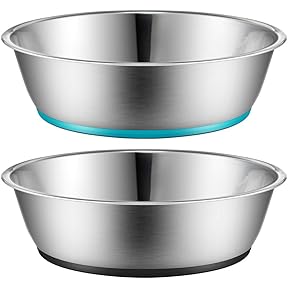 Basis Pet Low Profile Stainless Steel Cat Dish 2-Pack