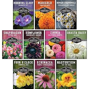 Botanical Interests Bees Birds and Butterflies Flower Seeds 10 Packets by Botanical Interests - American Made