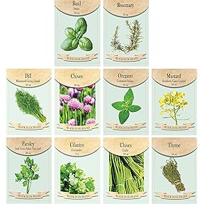 Botanical Interests Non-GMO Starter Herb Garden Seed Collection 10 Packets by Botanical Interests - American Made