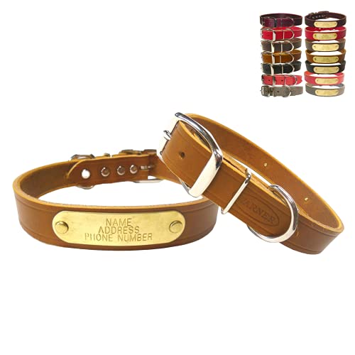 WARNER SPORTING Cumberland Leather Dog Collar with Engraved Brass ID Tag USA (21" Fits 15-19" Neck, Golden Tan