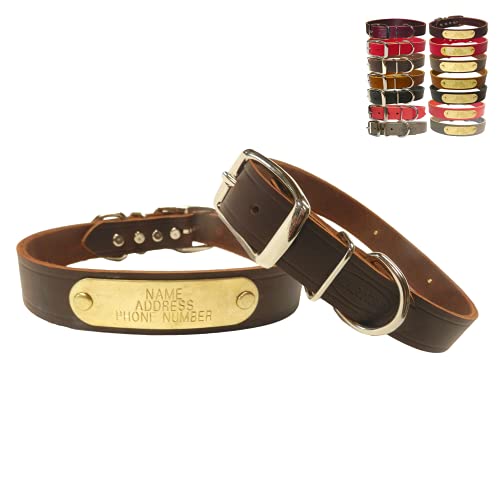 WARNER SPORTING Cumberland Leather Dog Collar with Engraved Brass ID Tag USA (23" Fits 17-21" Neck, Rich Brown