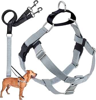 2 Hounds Design Freedom No Pull Dog Harness with Leash Set XXL Silver by 2 Hounds Design - American Made