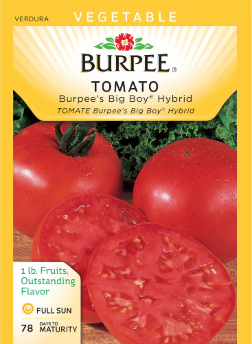 Burpee Big Boy Tomato Seeds Packet by Burpee - American Made