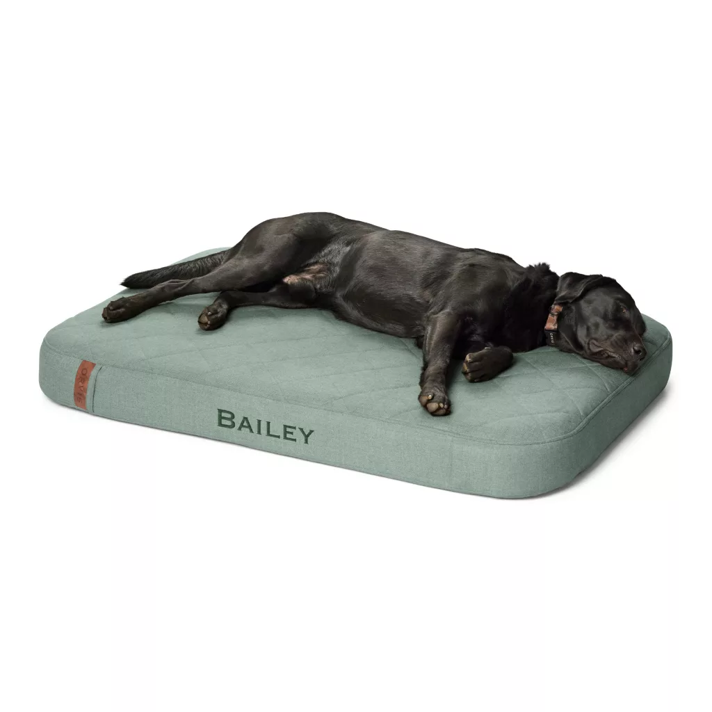 Orvis RecoveryZone Lounger Dog Bed Large by Orvis - American Made