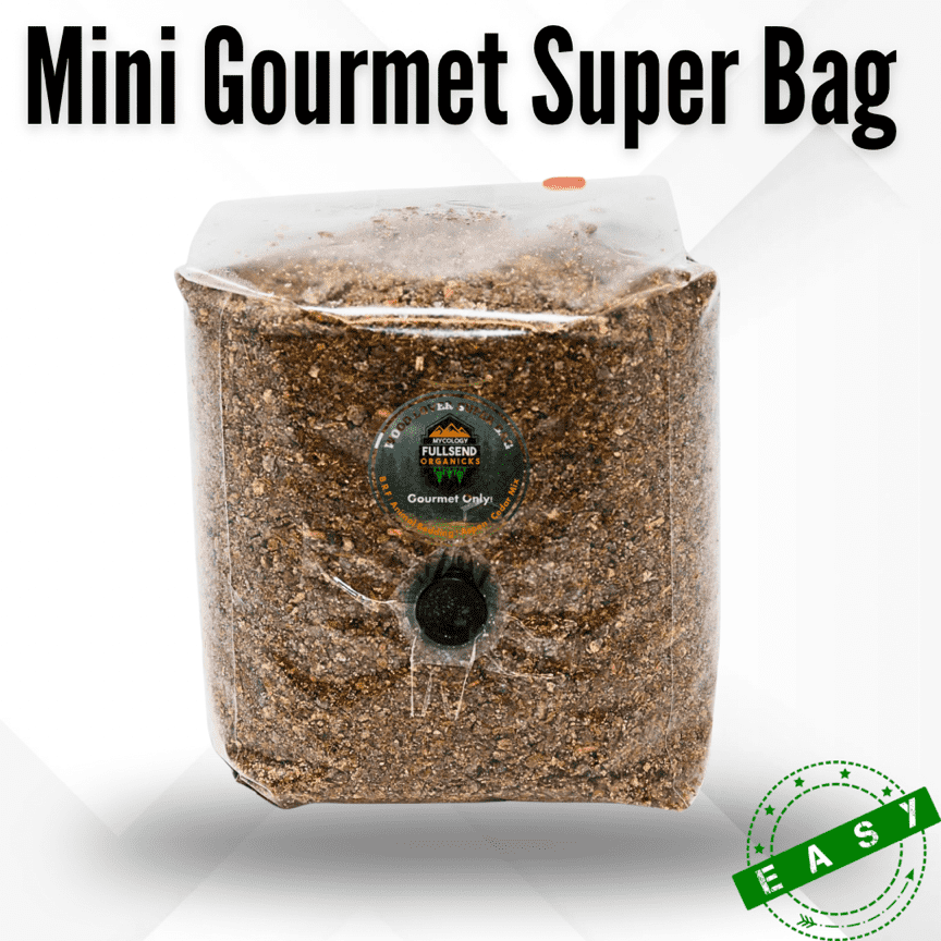 Planters' Choice Mushroom Growing Kit Gourmet Medley by Planters' Choice - American Made