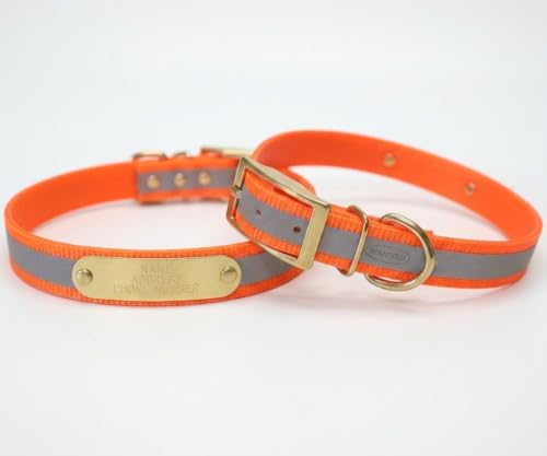 Warner Sporting Reflective Dayglo Dog Collar Free Engraved Brass ID tag USA (Orange 21")