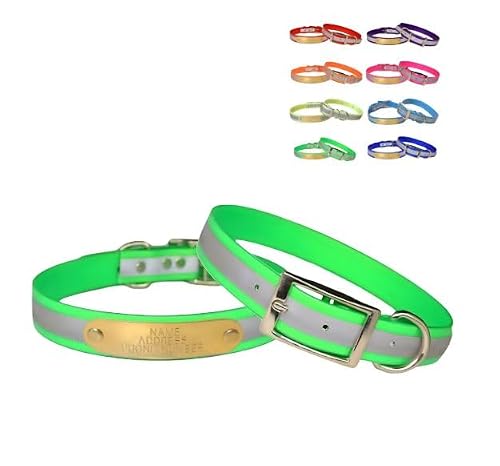 Warner Sporting Reflective Dayglo Dog Collar Free Engraved Brass ID tag USA (Neon Green 27") by WARNER SPORTING - American Made