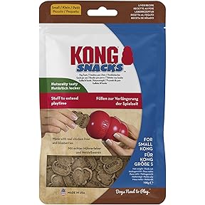KONG Snacks Peanut Butter Dog Treats 2-Pack Small