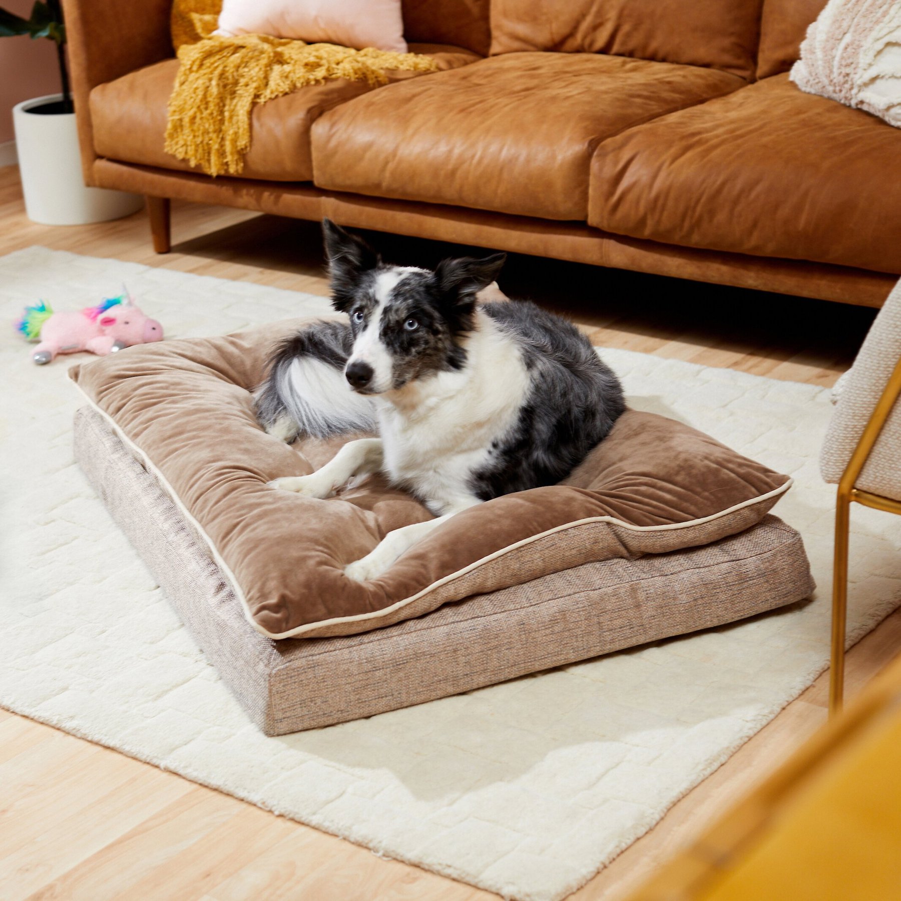 Frisco Plush Orthopedic Dog Bed Medium 36x23-Inch by Frisco - American Made