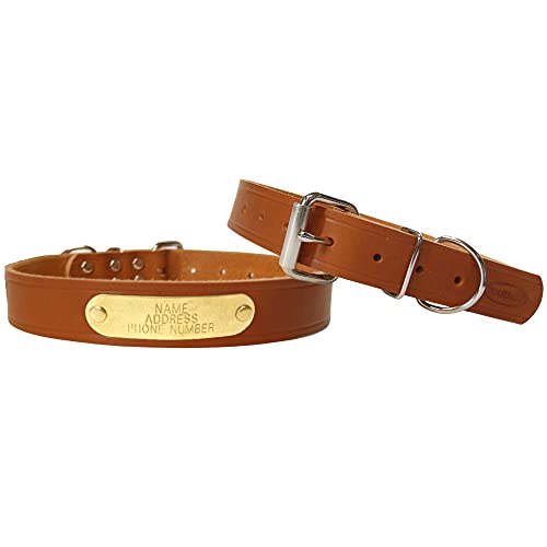 WARNER SPORTING Cumberland Leather Dog Collar with Engraved Brass ID Tag USA (28”x1¼” Fits 21-25" Neck, Golden
