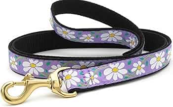 Up Country Daisy Pattern Dog Leash Small Breed 6 Foot by Up Country - American Made