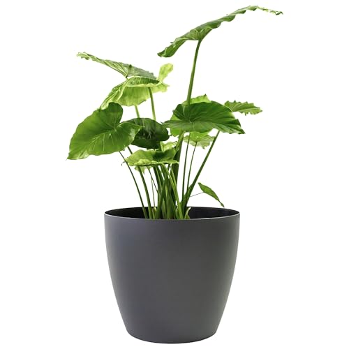 Greenline Manufacturing Memphis 13" Round Indoor Floor Planter Pot – Lightweight & Durable Plastic, Modern Des