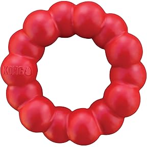 KONG Ring Dog Toy