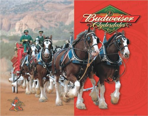 Desperate Enterprises Budweiser - Clydesdales Tin Sign - Nostalgic Vintage Metal Wall Décor