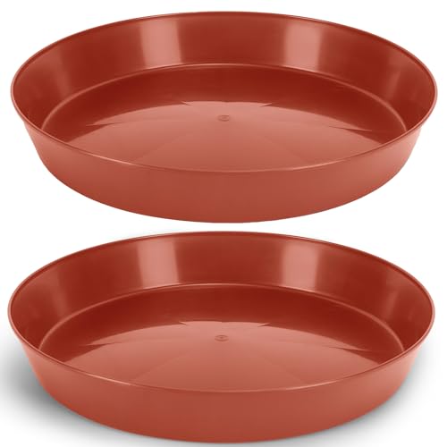 Austin Planter 2 Plant Saucers, 16 Inch Terra Cotta Colored