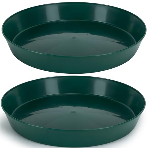 Austin Planter Saucers 16 Inch (14.2 Inch Base), Case of 2