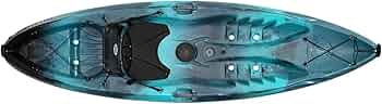 Perception Kayaks Tribe 9.5 Recreational Kayak by Perception Kayaks - American Made