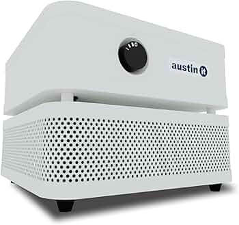 Austin Air it Personal Air Purifier Model C100