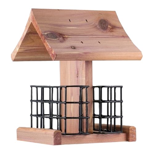 Cedar Double Suet Bird Feeder