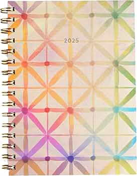 Erin Condren A5 Weekly and Monthly Planner 2025