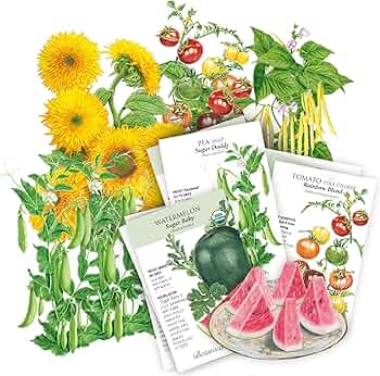 Botanical Interests My First Garden Seed Bundle Kids 7 Packets by Botanical Interests - American Made